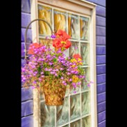 Jerry Kaufman, Bucket of Joy, Victoria, BC, Photography of Canada, British Columbia, boat house window with flowers