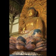 Amida: a Golden Buddha